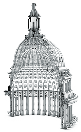 Government Market