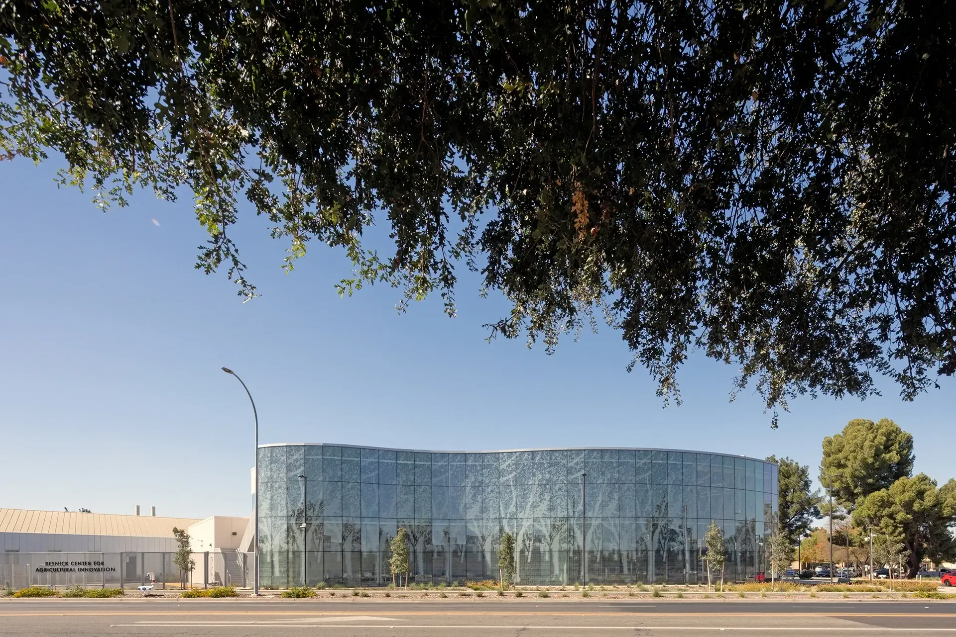 Mass timber structural elements lower the building’s embodied carbon and provide a warm, welcoming aesthetic. 