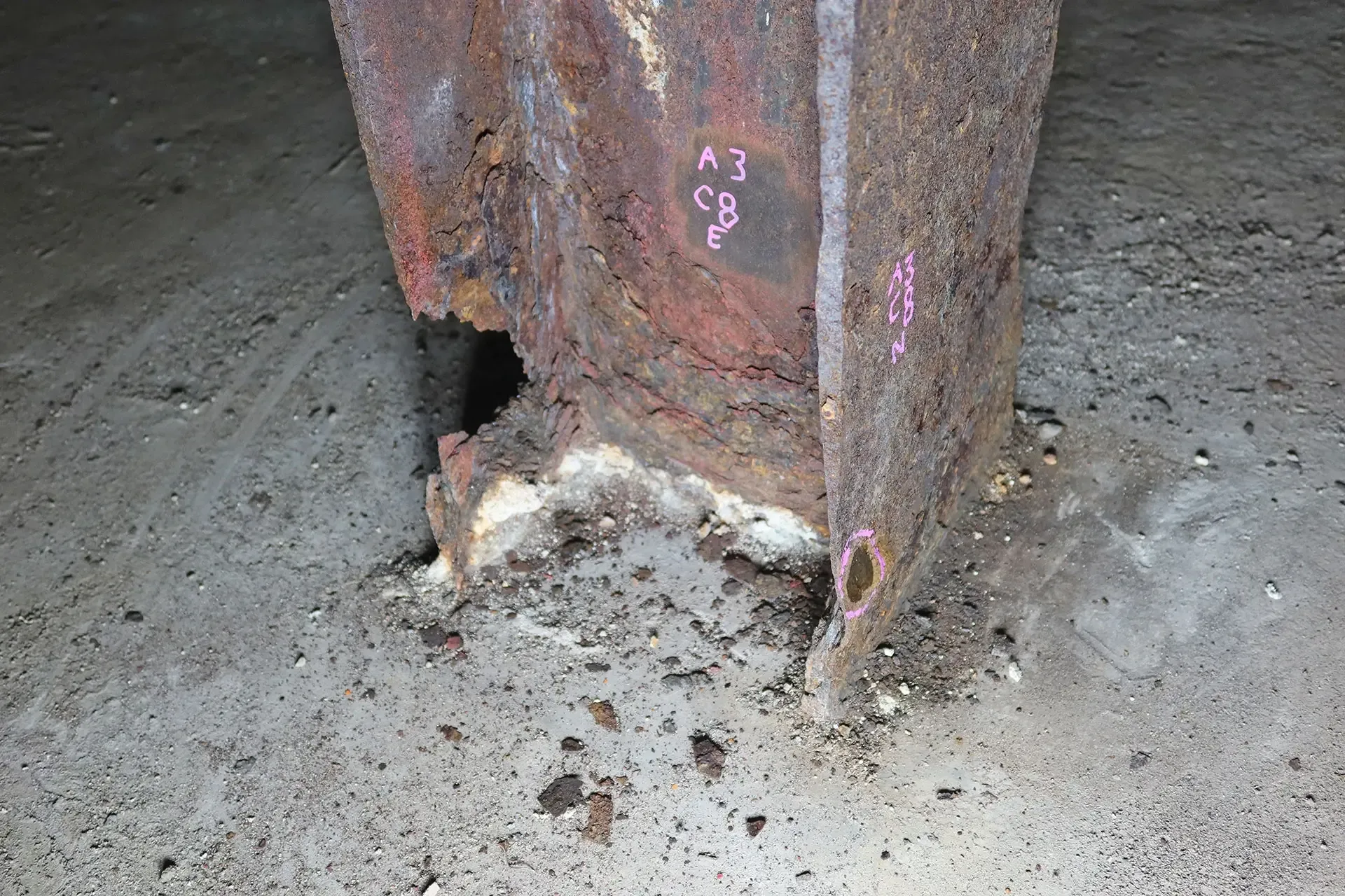 Our work focused on determining whether the aging shelter could be safely repaired or whether it required more substantial intervention, while helping the DDC manage risk to residents, staff, and the public. 