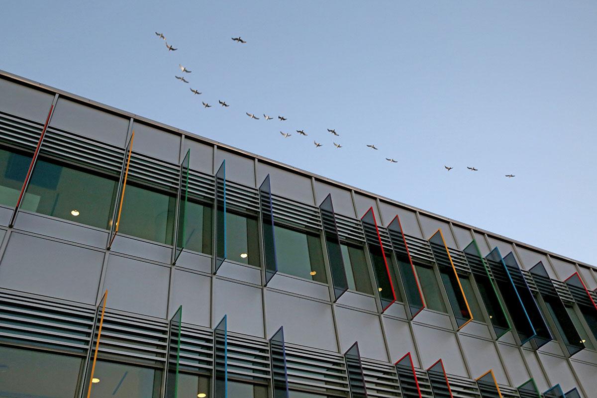 Valley Health Center